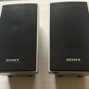 Sony Black and Silver Portable Speakers